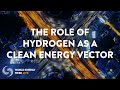 WEW LIVE 2020 - The role of hydrogen as a clean energy vector