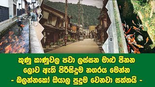 කුණු කාණුවල පවා ලස්සන මාළු පීනන ලොව ඇති පිරිසිදුම නගරය මෙන්න. බලන්නකෝ ඔයාල පුදුම වෙනවා සත්තයි