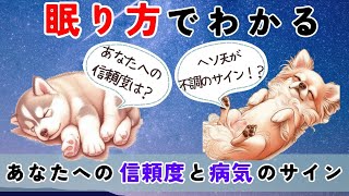 この眠り方…あなたの信頼度は？　愛犬の寝姿が教えてくれる健康と感情の秘密