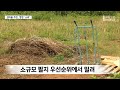 당연한 권리도 못 누리는 섬마을 주민들 2022.10.09 뉴스데스크 mbc경남