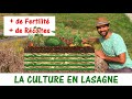 CULTURE EN LASAGNE / Des récoltes abondantes partout, pour tous