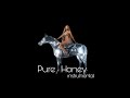 Pure / Honey - Beyoncé (Instrumental Karaoke) BackingVocal