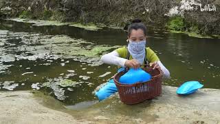 Fantastic discovery! A beauty accidentally caught a rare blue mutant river clam, revealing the pear