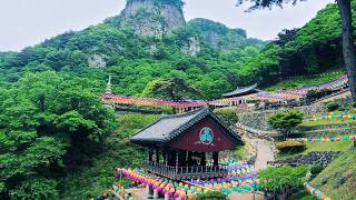 [풍경소리] 낙동강 상류 봉화 청량산_환생화_ the nature of Korea_relaxing