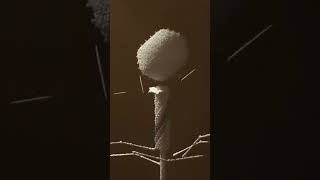 T4 Phage Replication #dailydose #shorts