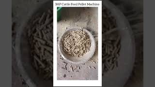 3HP Cattle Feed Pellet Machine