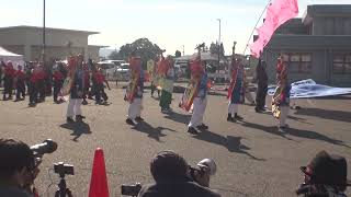 秋田まるまる愛好会　「ハタハタロック＆サンバ」　十文字よさフェス２０２４