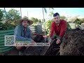 what happens when you bury old logs in a raised bed