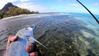 New Episode Fishing during the low tide. Le Morne, Mauritius