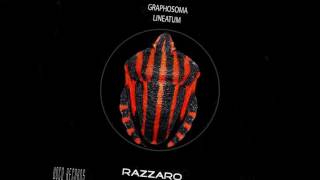 Razzaro Graphosoma Lineatum