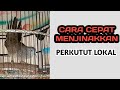 Trik menjinakkan burung perkutut lokal