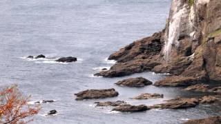 雨の港　大川栄作　嬬恋次郎　カバー