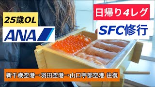 【SFC修行】④新千歳空港→羽田空港→山口宇部空港 往復！日帰り4レグ！