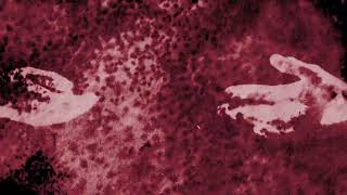 Flawed Mangoes - Obsession (Slowed) [Visualizer]