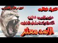 اغينة ( غابت الاسود فظنت الضباع انها ملوك الغابة ) الفنان الخال الكسندر مطانيخ هيا شات دمار تفجير