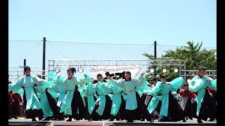 [4K]春日井疾風　2017犬山踊芸祭 2日目 石作公園メイン会場（広角）