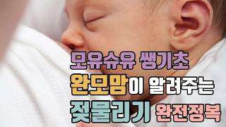 모유수유 쌩기초편 완모맘이 알려주는 젖물리기 완전정복