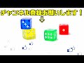 ボドゲ初心者の人と遊ぶときにおすすめのボードゲームtop10【ボードゲーム】