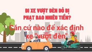 Xe vừa cán qua vạch dừng xe - đèn vàng/ đỏ bật sáng thì làm sao???