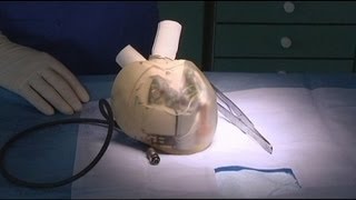 euronews science - Artificial heart close to human trials