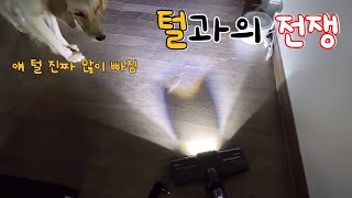 털과의 전쟁 : 강아지 털 어떻게 처리하시나요??(ft.V-scan300)