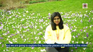 My favourite places in Sheffield