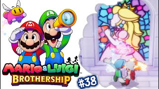 Mario \u0026 Luigi: Fraternauti alla carica (#38) Il ritorno al Regno dei Funghi? (Mushroom Kingdom)