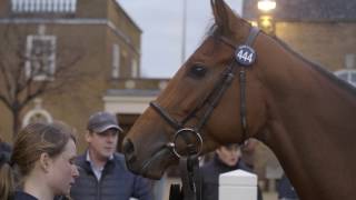 Tattersalls February Sale Day 2 2017