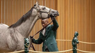 Keeneland September Sale: "The largest and most important thoroughbred auction in the world"