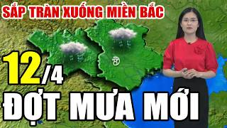 🔴[Trực Tiếp] Dự báo thời tiết hôm nay và ngày mai 12/4/2026 | dự báo thời tiết 3 ngày tới