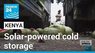 Kenya turns to solar-powered cold storage to cut down on food waste • FRANCE 24 English