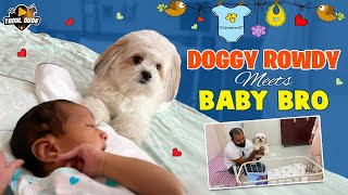 Doggy Rowdy Meets Baby Bro | Rowdy \u0026 Vaan | Brother's Love | Rowdy Dog | Tamil Dude