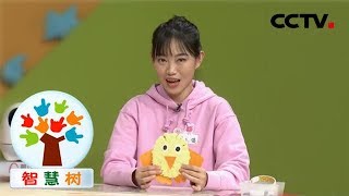 《智慧树》巧巧手手工屋：小鸡杯垫 20190408 | CCTV少儿