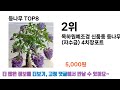 궁금했던 그 제품 등나무 추천 top 8