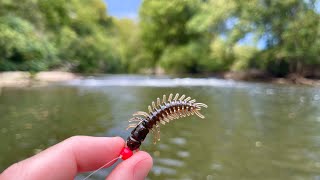 Creek Fishing with Hellgrammite Lure