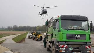 Südzucker begrünt Rübenerde erstmals per Hubschrauber