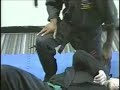 ninjutsu taijutsu empty hand combat 3