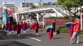 よさこい鳴子連　今日一屋（よさこい夢まつり2015）本祭二日目⑥