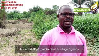 Témoignage Mr Bedje Odje Honoré  - Formation pratique avec GSM-AGRO Côte d'Ivoire