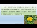 조동일특강 1강 『한국문학과 몽골문학 의 유형적 비교』 건국신화 시조하강과 도래 영웅서사시 장가르 게사르 한문학 포송령 요재지이 역사소설 청사 비교 〚조동일문화대학〛