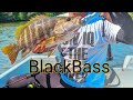 Trip singkat Mencari Sang Raja muara |BLACKBASS SABAH |