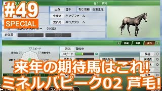 【ウイポ9 2020】＃49 今回も芦毛軍団を作りたい！こいつは大事に使ってく！2003年8月4週～！【ウイニングポスト9 2020  Switch版】【Winning Post9】