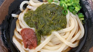 【孤独のグルメもどき】讃岐うどんを香川県民が食べ歩き#32【まつはま】