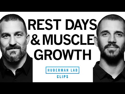 Why rest days are important?