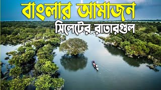 বাংলার আমাজন সিলেটের রাতারগুল | Ratargul Swamp Forest | Sylhet Ratargul | Sylhet News | Banglaviewtv