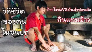 วิธีทำมันสำปะหลังประสมข้าวโพด ให้กลายเป็นข้าวที่น่ากินทีสุด สูตรของคนในชนบท - YUB AVERN