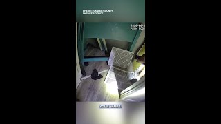 'Like a contortionist': Florida man arrested after hiding in AC ductwork, deputies say