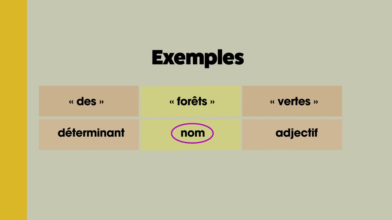 Animation Grammaire 08 Le Groupe Nominal - YouTube