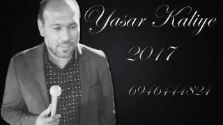 yasar kaliye - yalnizim dostlarim