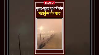 Maha Kumbh 2025: सुबह सुबह धुंध में ढके महाकुंभ के घाट | Uttar Pradesh | Prayagraj | UP News |SHORTS